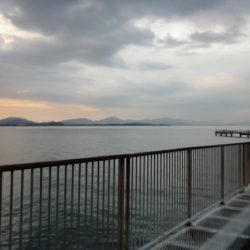 下関フィッシングパーク　アジ好調　サイズはもう少し(^_^;)ですネ